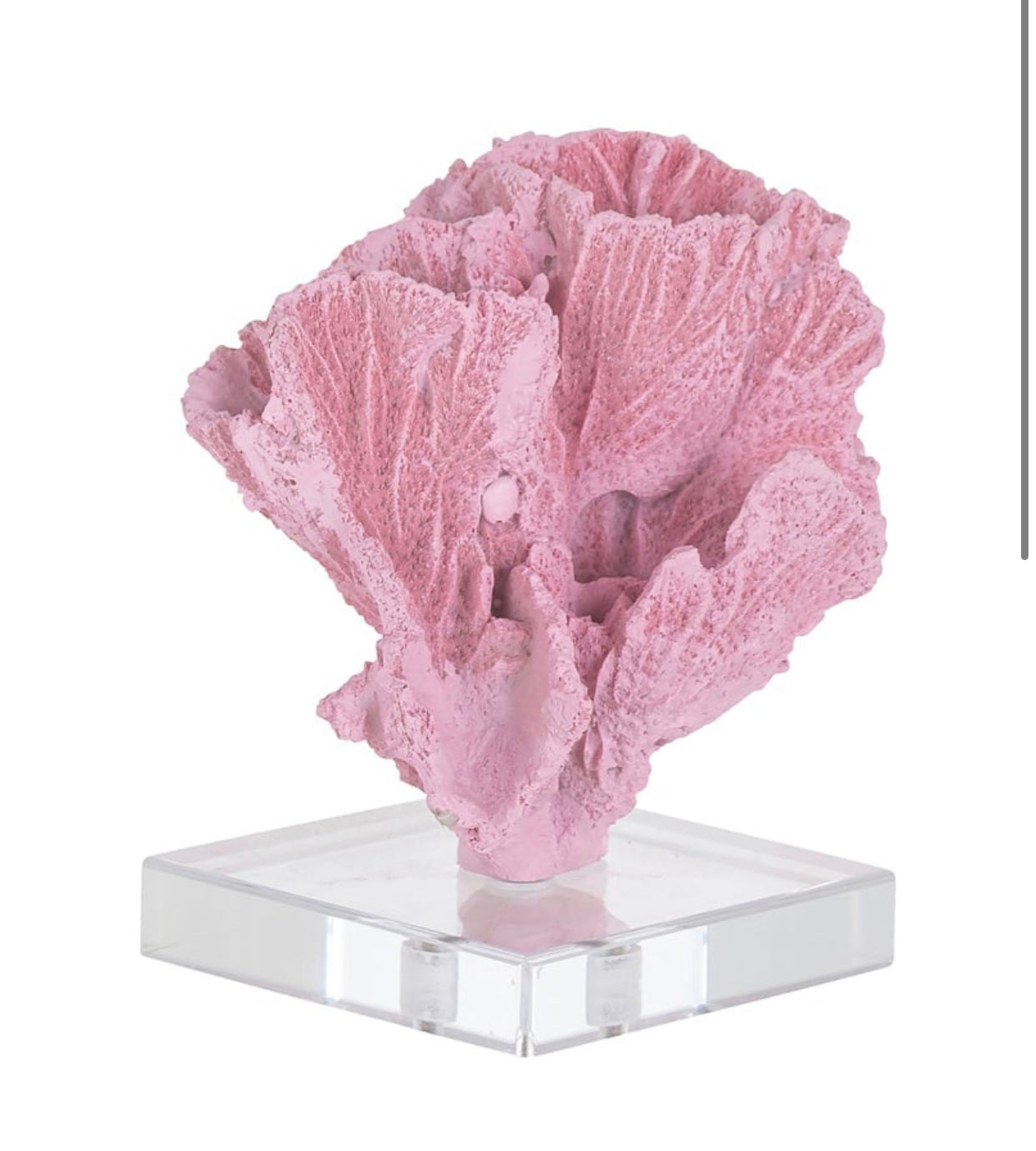 DÉCORATION CORAIL « RICHMOND INTERIORS »