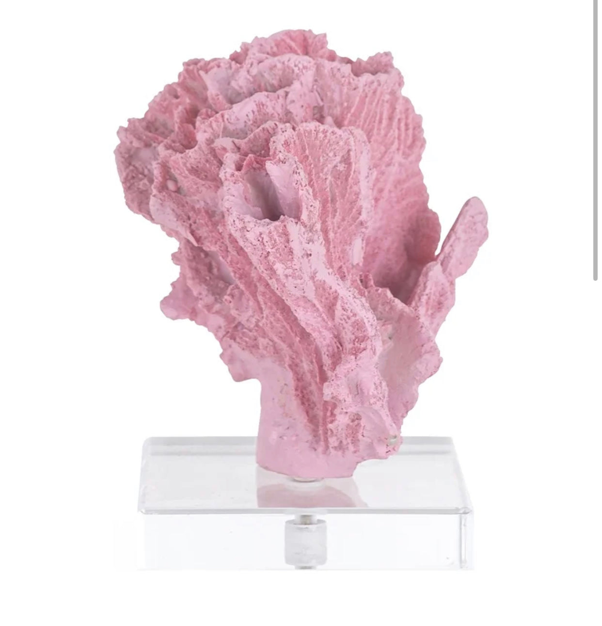 DÉCORATION CORAIL « RICHMOND INTERIORS »