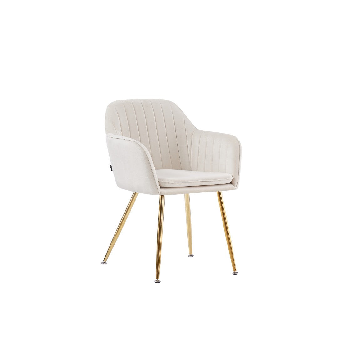 LOT DE 2 CHAISES "KANVAS"
