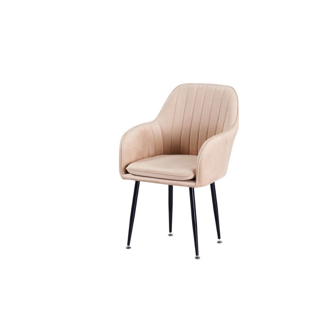 LOT DE 2 CHAISES "KANVAS"