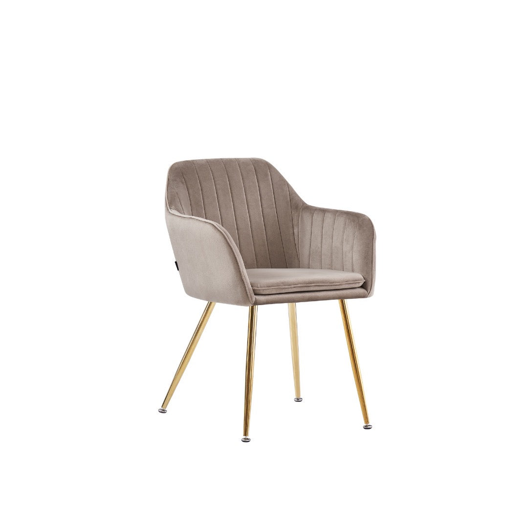 LOT DE 2 CHAISES "KANVAS"